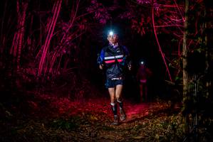 BIB: 
                            <button type="button" onclick="openModal(7015204)" class="btn btn-primary btn-sm float-right btn-popup" data-toggle="modal" data-target=".modal-high-quality">
                        <i class="fas fa-shopping-cart"></i> Add to Cart
                    </button>
                                            <button type="button" onclick="isThisMe(7015204, true)" class="btn btn-success btn-sm float-right btn-popup btn-isme hidden" data-toggle="tooltip" data-placement="bottom" title="นี่คือรูปของคุณใช่ไหม คลิกที่นี่เพื่อเอาเข้าอัลบั้ม">
                        <i class="fas fa-plus"></i> Add to album
                    </button>
                    <button type="button" onclick="isThisMe(7015204, false)" class="btn btn-warning btn-sm float-right btn-popup btn-isnotme hidden">
                        <i class="fas fa-ban"></i> Remove from album
                    </button>